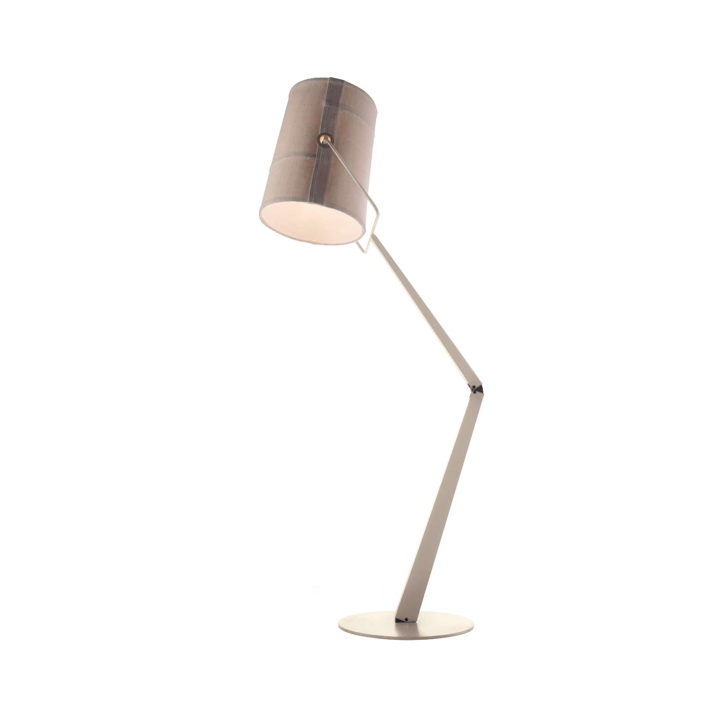 Spotlight Floor Lamp
