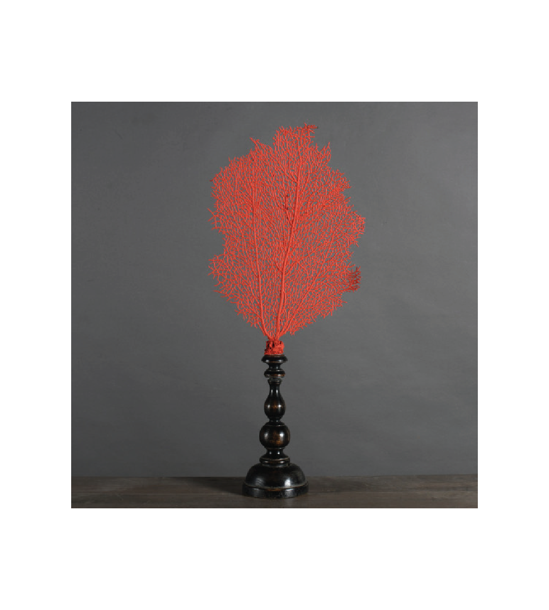 Sea Red Fan
