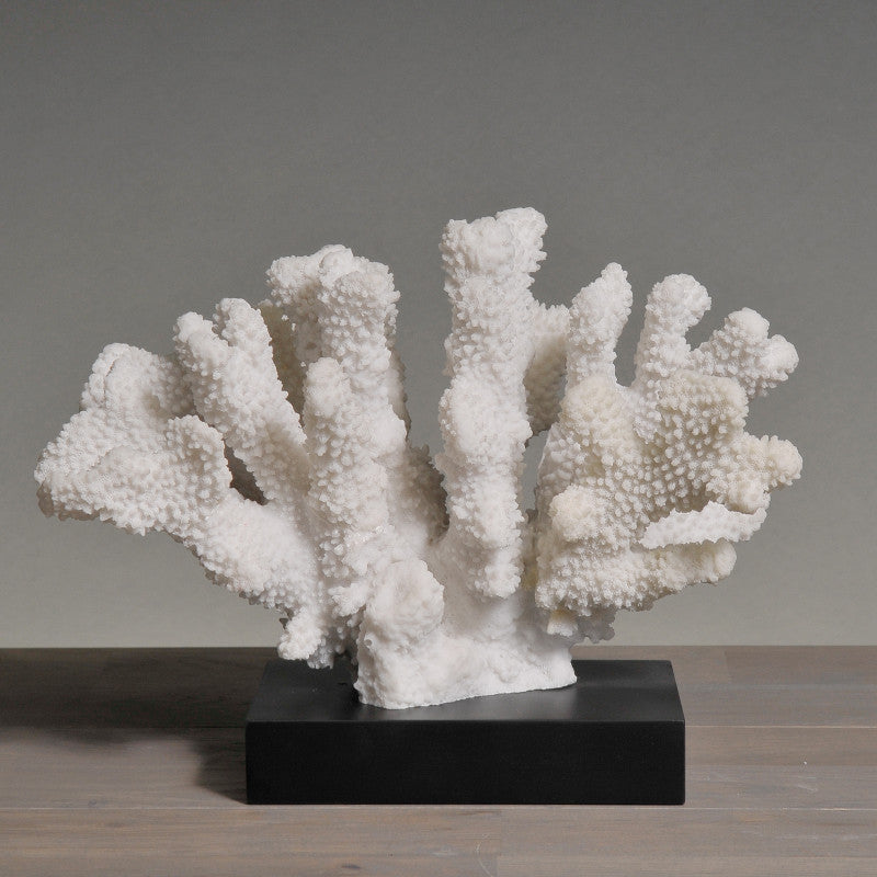 Medium White Coral
