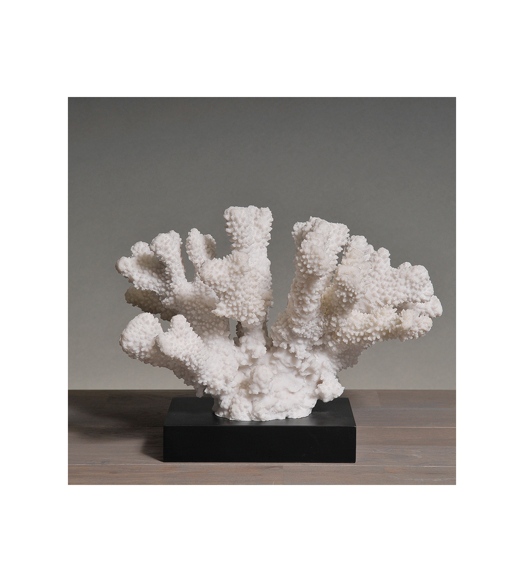Medium White Coral