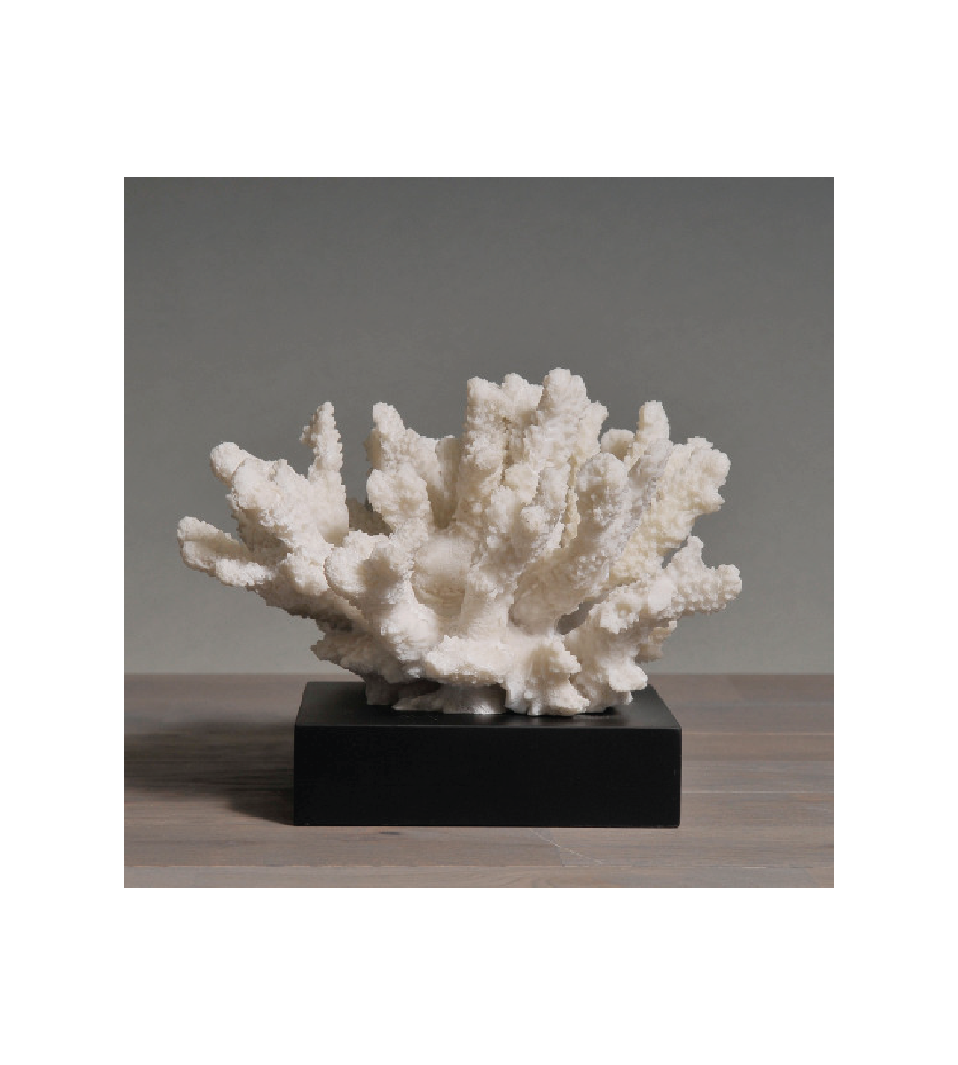 Mini White Coral